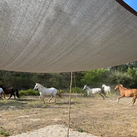 Tente Glamping Sans Vis A Vis, Nature & Calme, Cote Vicentine *
